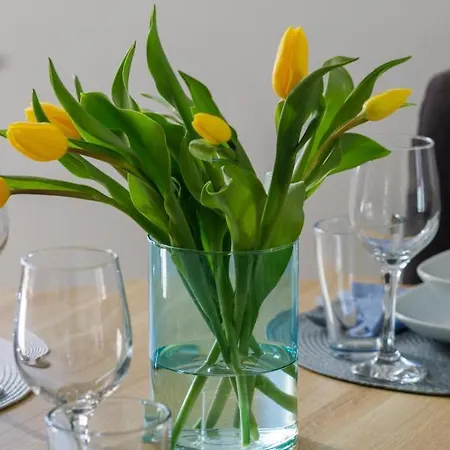 Strzelecka Center Of By Renters *